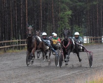 Kankkonummi 2005